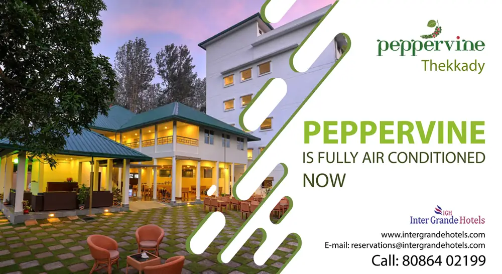 PepperVine,  — photo 4